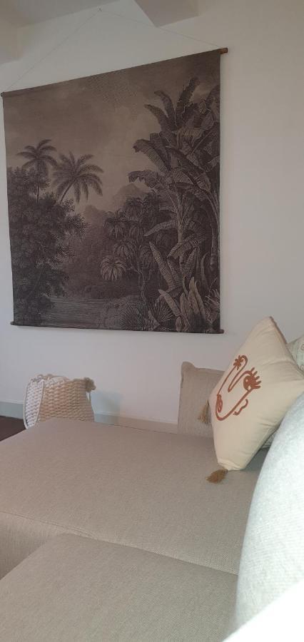 Santocha : Appartement En Plein Coeur De Ville ! การ์กาซอน ภายนอก รูปภาพ